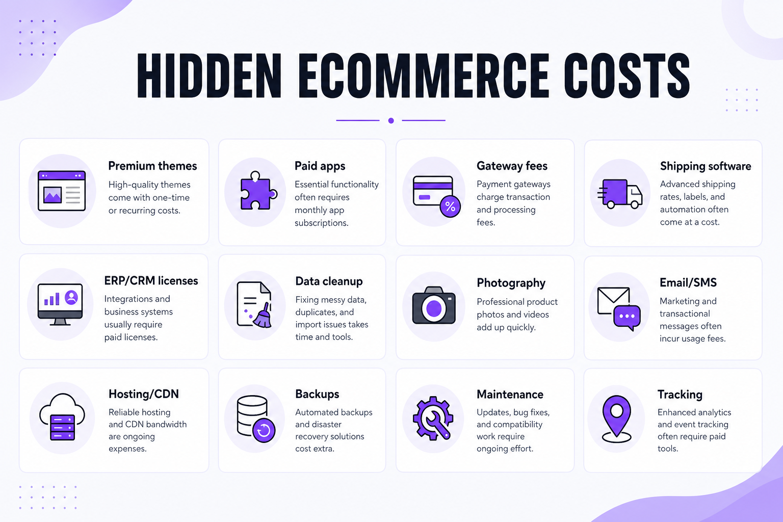 Infographic of hidden ecommerce website costs including themes, apps, gateway fees, ERP licenses, photography and maintenance